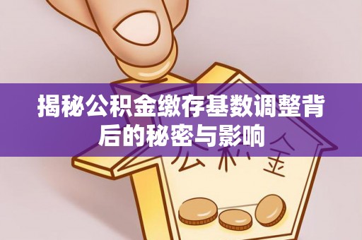 龙口揭秘公积金缴存基数调整背后的秘密与影响