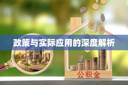 龙口政策与实际应用的深度解析