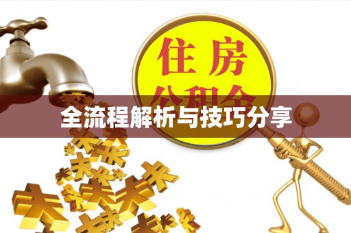 龙口全流程解析与技巧分享